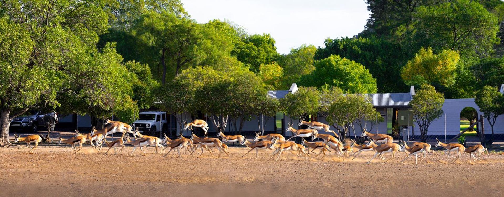 Merino Inn Hotel Colesberg Exteriér fotografie